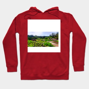 magical zen garden in collage photo landscape wallpaper Hoodie